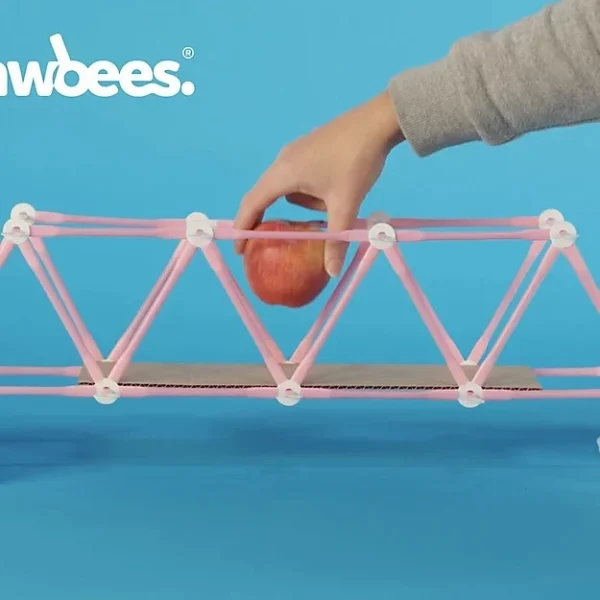 STRAWBEES STEAM Starter Kit - Image 5