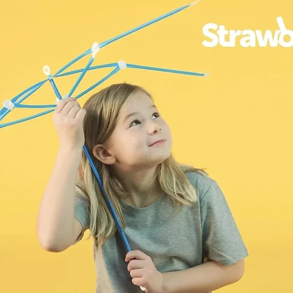 STRAWBEES STEAM Starter Kit - Image 2